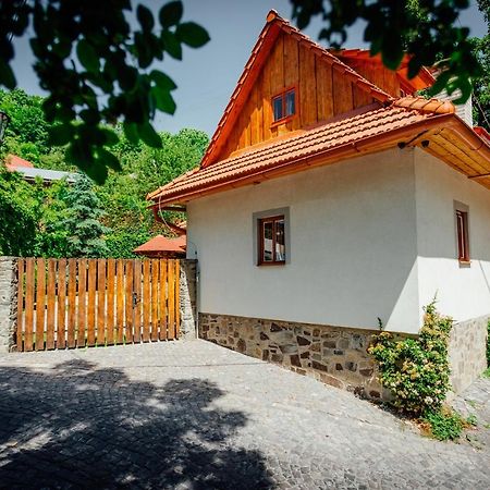 הוילה Banská Štiavnica Stara Mytnica מראה חיצוני תמונה