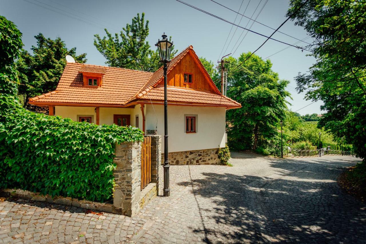 הוילה Banská Štiavnica Stara Mytnica מראה חיצוני תמונה